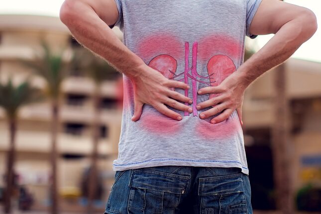 La salud de los riñones está estrechamente ligada a la del propio corazón