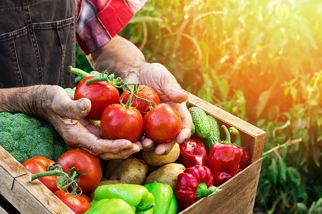 Un cambio en la dieta, puede influir significativamente en el resultado del cáncer de mamá