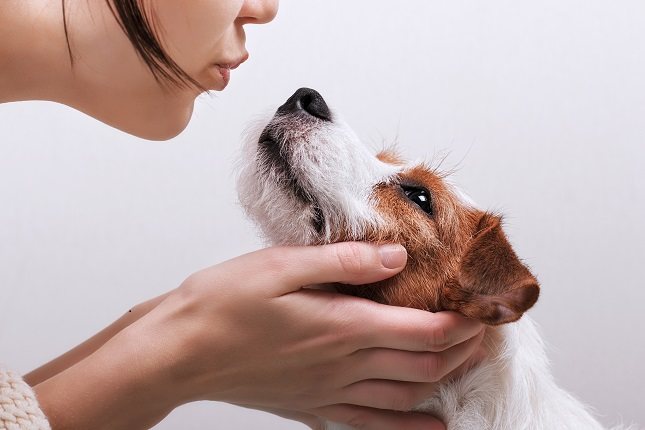 Si tienes mascotas es normal que quieras evitar las infecciones de tu amigo peludo