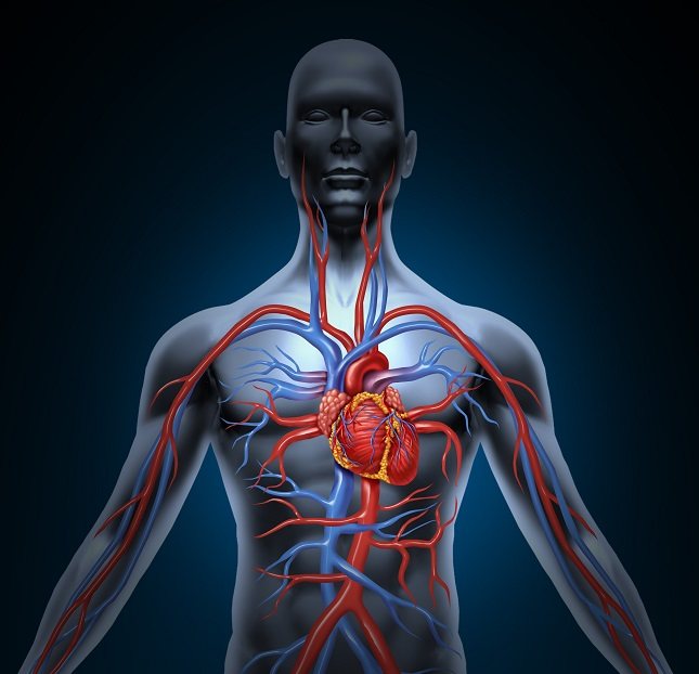 La principal causa por la que se produce tal problema arterial se debe a los altos niveles de colesterol en la sangre