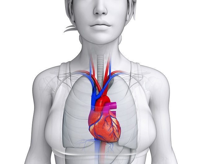 La ateroesclerosis es un problema que afecta a las arterias