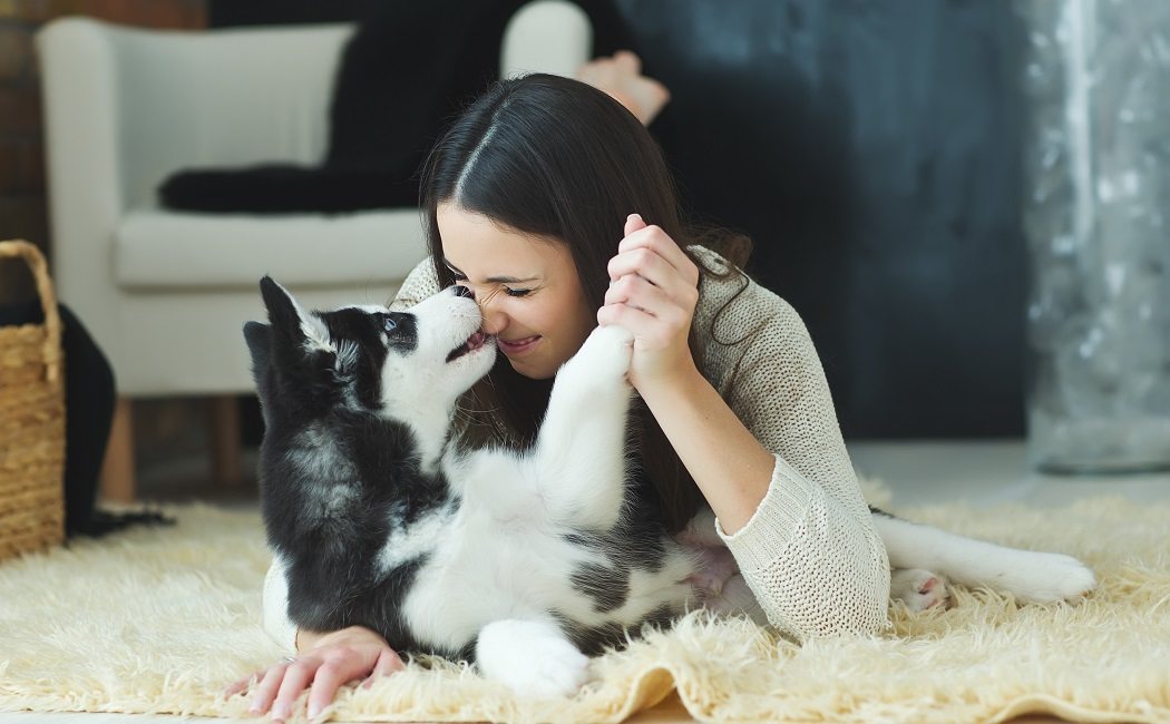 ¿Puedes mantener a tu mascota si tienes cáncer?