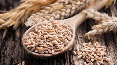 ¿Se pierde peso con la dieta sin gluten?