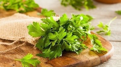 Beneficios para la salud de las hierbas aromáticas