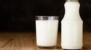 ¿Es importante la leche en la dieta diaria?