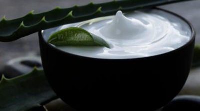 8 beneficios del aloe vera