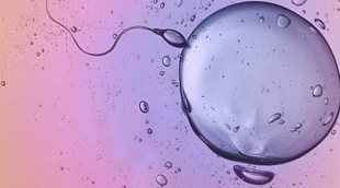 ¿Existen dietas específicas que te ayuden en tu fertilidad?