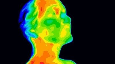 Cómo funciona la homeostasis