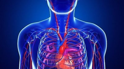 Acrocianosis: en qué consiste esta enfermedad cardiovascular